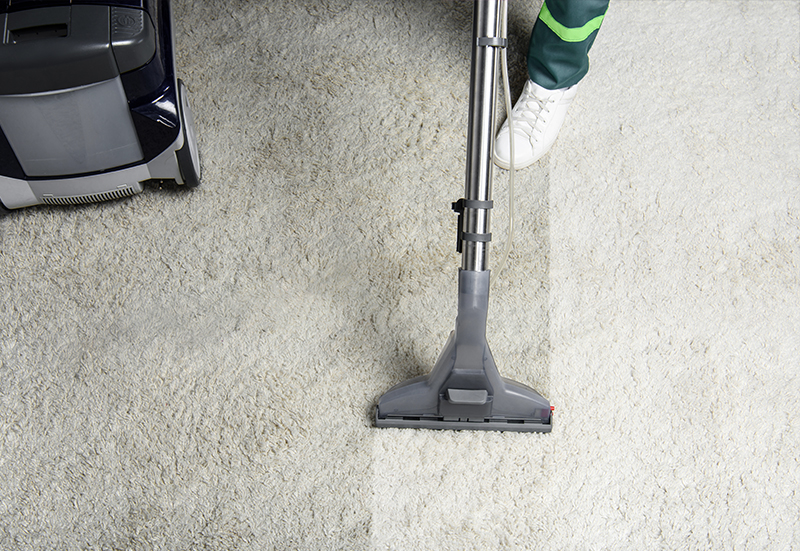 Carpet Cleaning