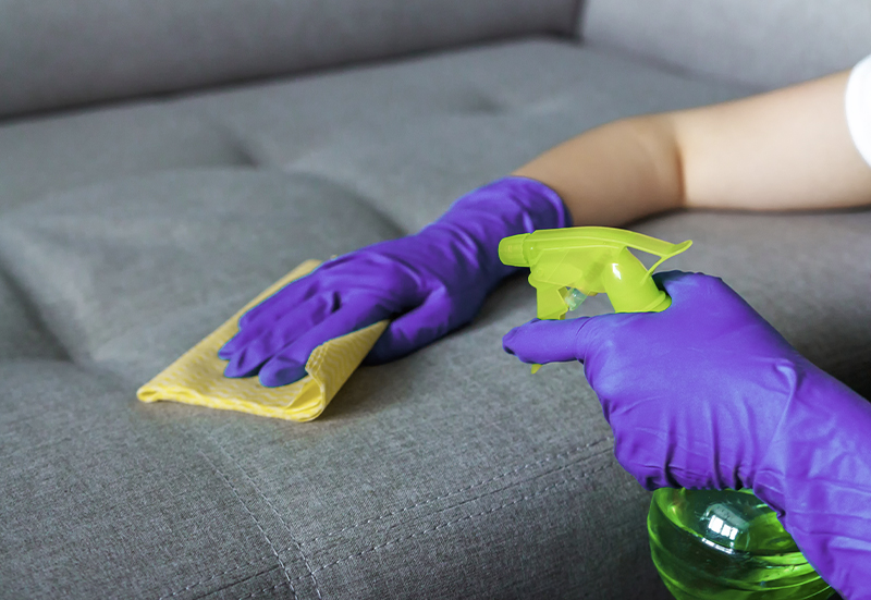 Upholstery Cleaning